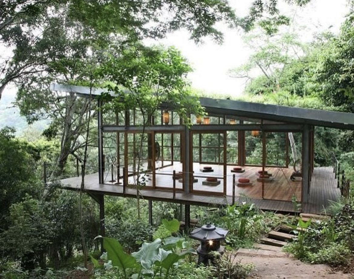 A glass-walled hall in a forest